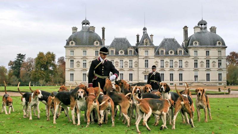Château de Cheverny